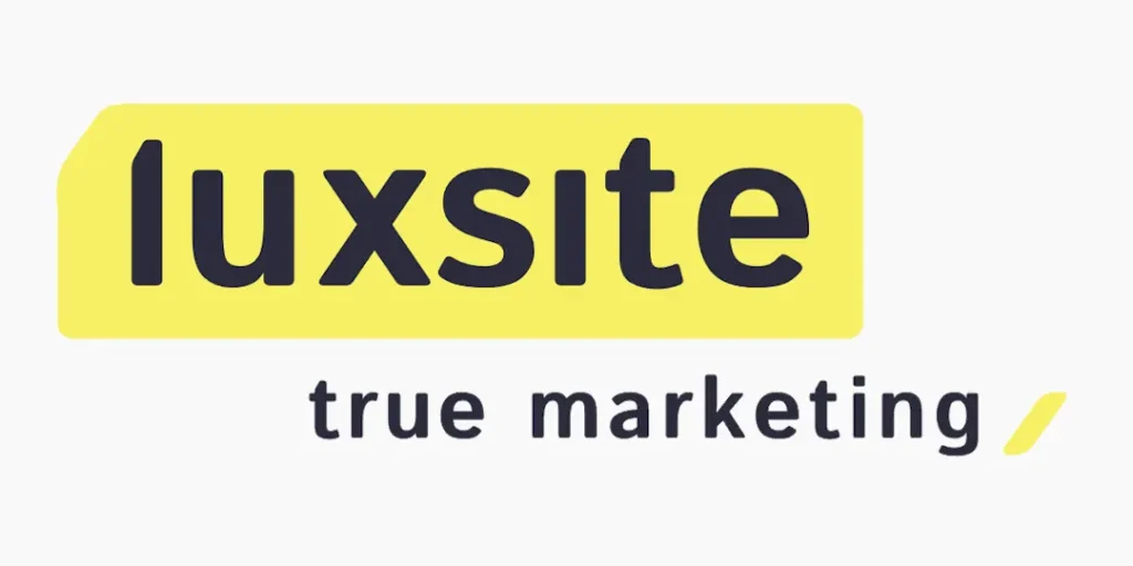 Luxsite - пользователи Odoo
